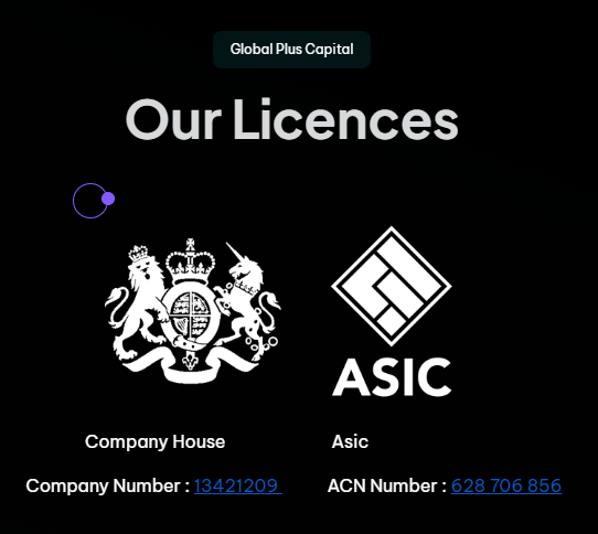 global plus capital lisans