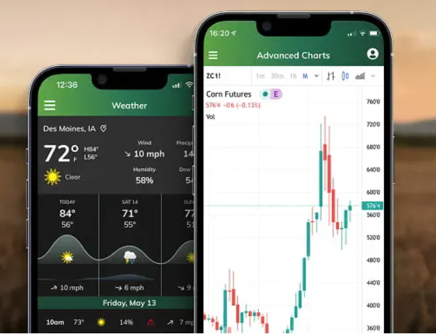 stonex platform