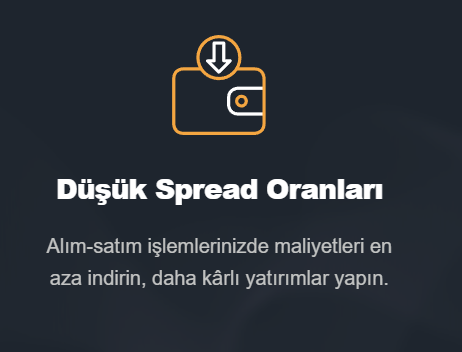 luna capital market hesap türleri