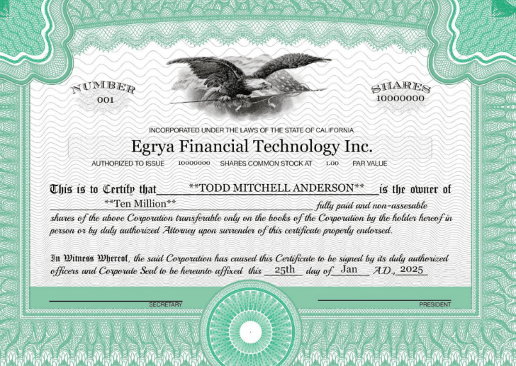Egrya Financial Technology lisans