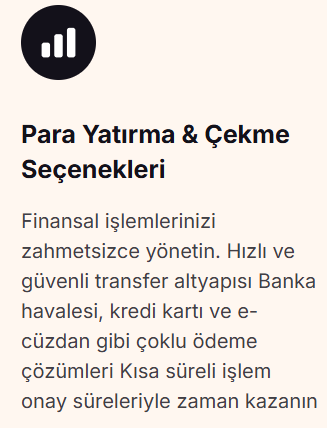 lunex global ödeme yöntemleri