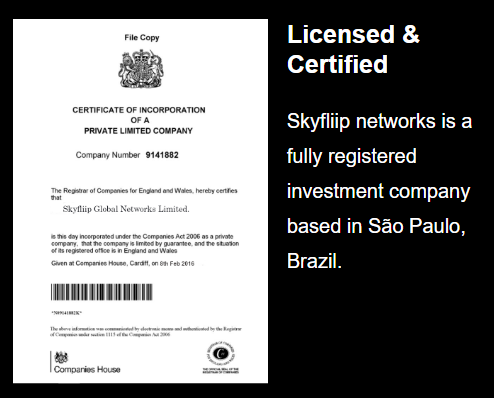 skyfliip networks lisans