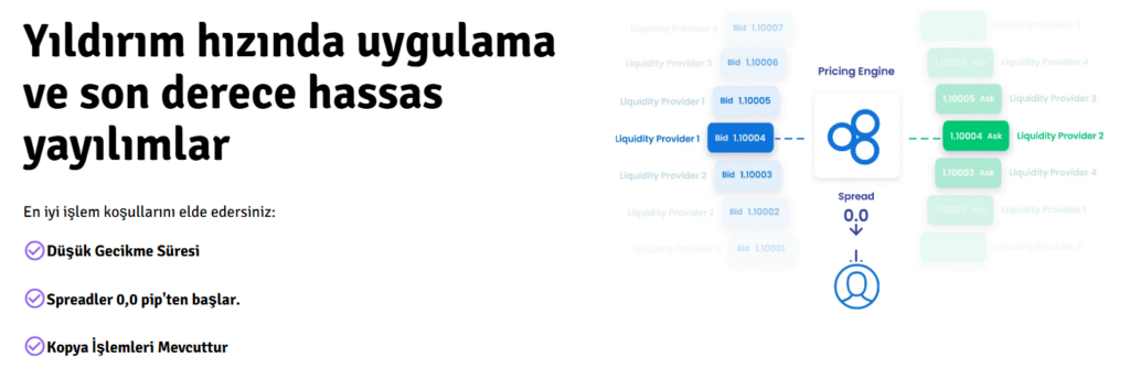 waves option hesap türleri