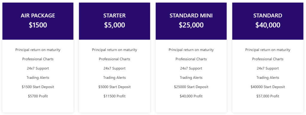 real zenplix miners hesap türleri